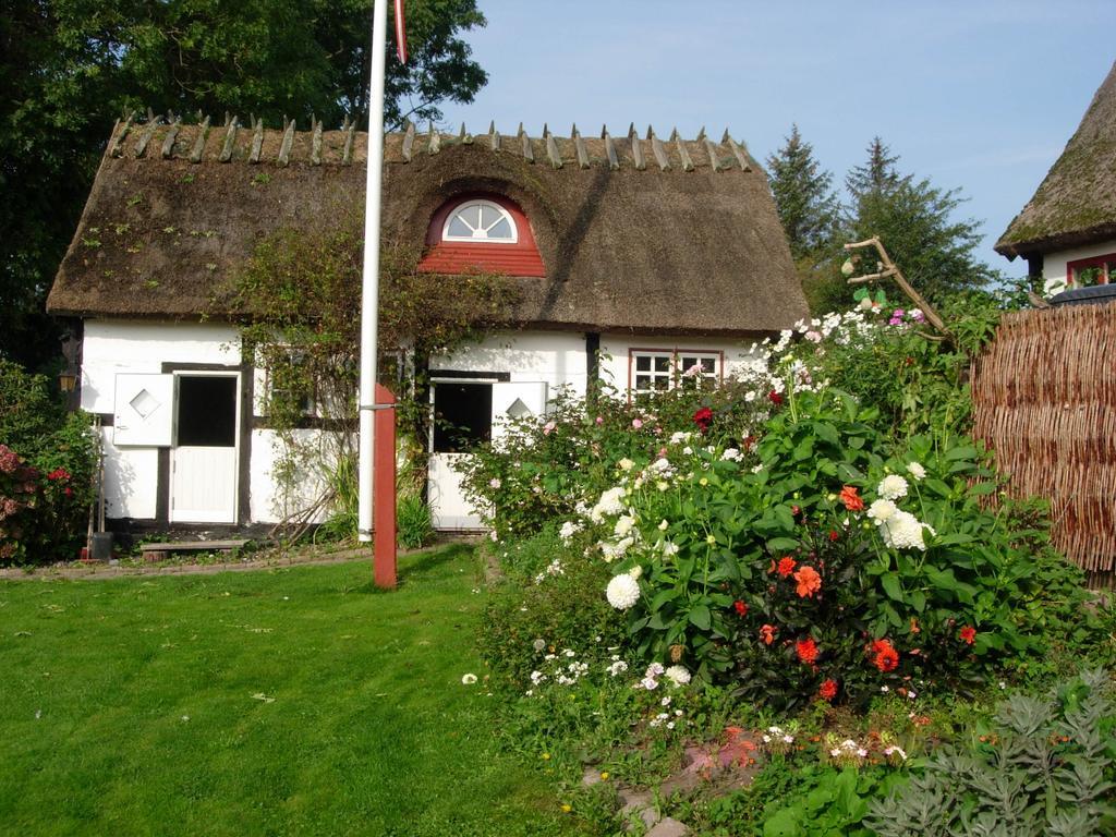 Travel Back In Time Guest House Nyord Bagian luar foto